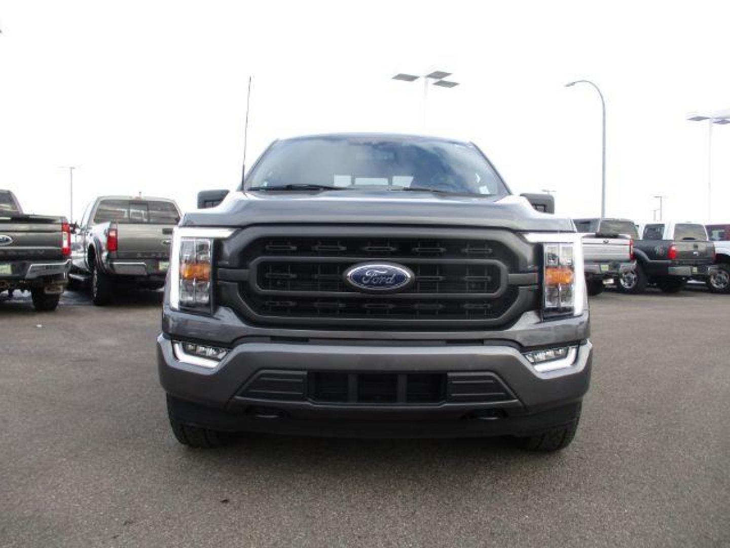 2022 Carbonized Gray Metallic /Black/Medium Dark Slate Ford F-150 Sport SuperCrew 5.5-ft. Bed 4WD (1FTFW1E86NK) with an 3.5L V6 DOHC 24V engine, 10-Speed Automatic transmission, located at 1235 N Woodruff Ave., Idaho Falls, 83401, (208) 523-1053, 43.507172, -112.000488 - Outside you see the factory sport wheels, wide running boards, and color matched bumpers, cloth grey interior with dual power heated seats, large 12 inch touchscreen display offering a high definition back up camera, blind spot monitors, lane assist, remote start, remote tailgate, trailer towing te - Photo#8