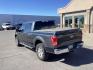 2015 GRAY /GRAY Ford F-150 XLT SuperCrew 5.5-ft. Bed 4WD (1FTEW1EF3FF) with an 5.0L V8 engine, 6-Speed Automatic transmission, located at 1235 N Woodruff Ave., Idaho Falls, 83401, (208) 523-1053, 43.507172, -112.000488 - Photo#3