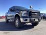 2015 GRAY /GRAY Ford F-150 XLT SuperCrew 5.5-ft. Bed 4WD (1FTEW1EF3FF) with an 5.0L V8 engine, 6-Speed Automatic transmission, located at 1235 N Woodruff Ave., Idaho Falls, 83401, (208) 523-1053, 43.507172, -112.000488 - Photo#6