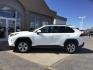 2021 Super White /Black, cloth Toyota RAV4 XLE AWD (2T3P1RFV8MC) with an 2.5L L4 DOHC 16V engine, 8-Speed Automatic transmission, located at 1235 N Woodruff Ave., Idaho Falls, 83401, (208) 523-1053, 43.507172, -112.000488 - AWD Toyota Rav 4, very clean, premium sound, multiple USB ports, backup camera, power mirrors, power seats, 6 power drive options, ear new tires, cloth interior. - Photo#1