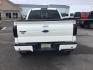 2014 White Platinum Met TC /Black Ford F-150 Platinum SuperCrew 6.5-ft. Bed 4WD (1FTFW1ET2EF) with an 3.5L V6 TURBO engine, 6-Speed Automatic transmission, located at 1235 N Woodruff Ave., Idaho Falls, 83401, (208) 523-1053, 43.507172, -112.000488 - This 2014 Ford F150 Limited, has the 3.5L Ecoboost motor. It has 86,000 miles. It comes with leather interior, heated and cooled seats, dual power seats, back up camera, sunroof, and remote start. At Timberline Auto it is always easy to find a great deal on your next vehicle! Our experienced sales s - Photo#3