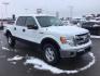 2013 WHITE /CLOTH Ford F-150 XLT SuperCrew 5.5-ft. Bed 4WD (1FTFW1ET9DF) with an 3.5L V6 TURBO engine, 6-Speed Automatic transmission, located at 1235 N Woodruff Ave., Idaho Falls, 83401, (208) 523-1053, 43.507172, -112.000488 - This 2013 Ford F150 XLT 4x4, has the 3.5L ecoboost motor. It has 138,000 miles. It comes with cloth seats, blue tooth audio, power door locks, power windows, and cruise control. At Timberline Auto it is always easy to find a great deal on your next vehicle! Our experienced sales staff can help find - Photo#6