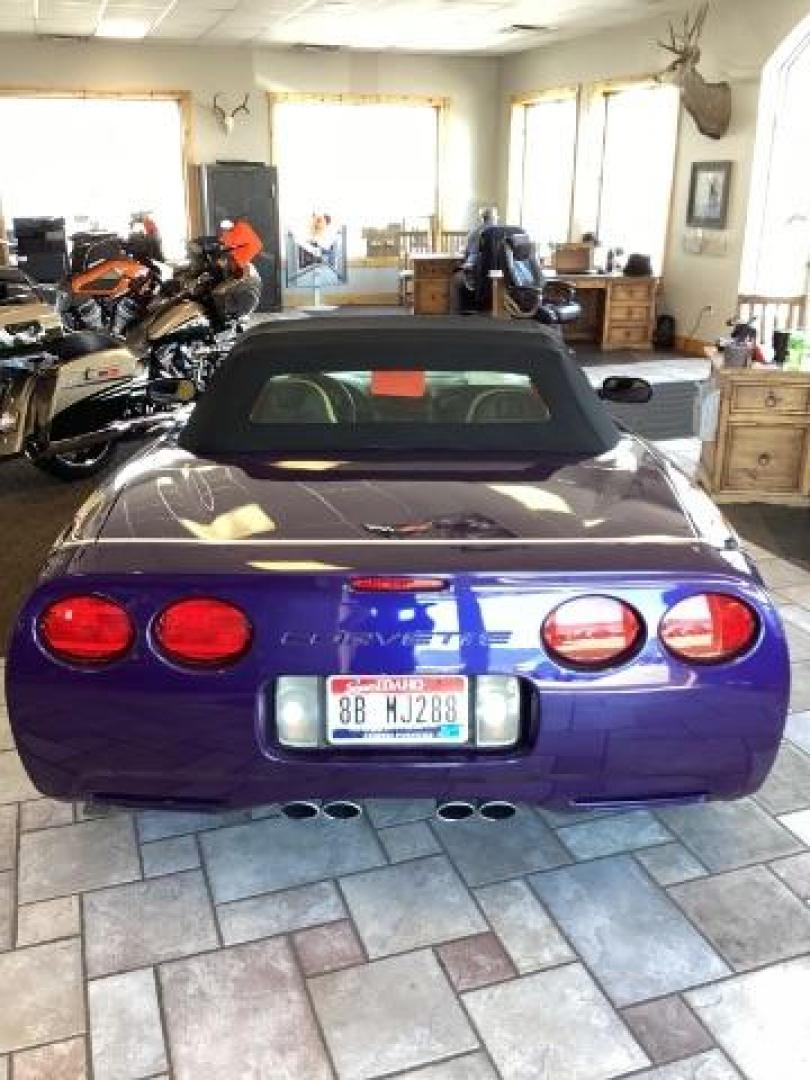 1998 PURPLE Chevrolet Corvette CONVERTIBLE 2-DR (1G1YY32G6W5) with an 5.7L V8 OHV 16V engine, 6-Speed Manual transmission, located at 1235 N Woodruff Ave., Idaho Falls, 83401, (208) 523-1053, 43.507172, -112.000488 - Photo#4