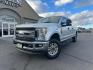 2019 Silver Spruce /Medium Earth Gray, cloth Ford F-350 SD XLT Crew Cab Long Bed 4WD (1FT8W3BT9KE) with an 6.7L V8 OHV 16V DIESEL engine, 6-Speed Automatic transmission, located at 1235 N Woodruff Ave., Idaho Falls, 83401, (208) 523-1053, 43.507172, -112.000488 - Photo#1