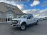 2019 Silver Spruce /Medium Earth Gray, cloth Ford F-350 SD XLT Crew Cab Long Bed 4WD (1FT8W3BT9KE) with an 6.7L V8 OHV 16V DIESEL engine, 6-Speed Automatic transmission, located at 1235 N Woodruff Ave., Idaho Falls, 83401, (208) 523-1053, 43.507172, -112.000488 - Photo#0