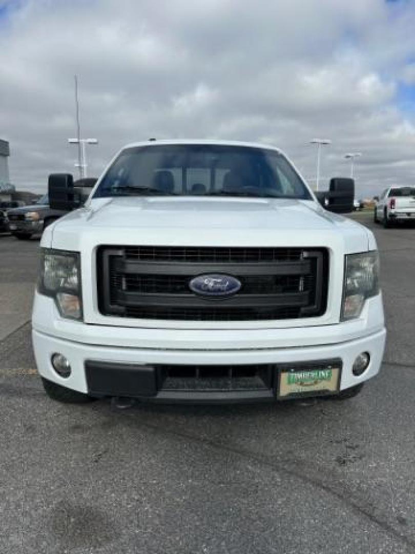 2014 Oxford White /Black Ford F-150 FX4 SuperCrew 6.5-ft. Bed 4WD (1FTFW1ET9EF) with an 3.5L V6 TURBO engine, 6-Speed Automatic transmission, located at 1235 N Woodruff Ave., Idaho Falls, 83401, (208) 523-1053, 43.507172, -112.000488 - Photo#7