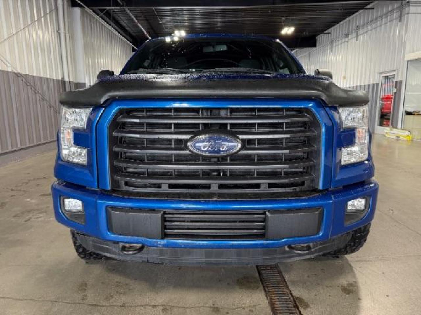 2017 Blue Jeans Metallic /Black, premium cloth Ford F-150 XLT SuperCrew 6.5-ft. Bed 4WD (1FTFW1EF8HF) with an 5.0L V8 engine, 6-Speed Automatic transmission, located at 1235 N Woodruff Ave., Idaho Falls, 83401, (208) 523-1053, 43.507172, -112.000488 - Photo#6